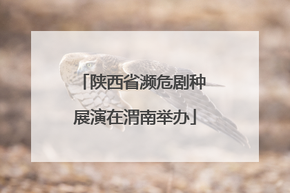 陕西省濒危剧种展演在渭南举办