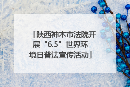 陕西神木市法院开展“6.5”世界环境日普法宣传活动