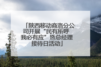 陕西移动商洛分公司开展“民有所呼 我必有应”暨总经理接待日活动