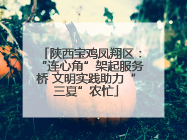 陕西宝鸡凤翔区：“连心角”架起服务桥 文明实践助力“三夏”农忙