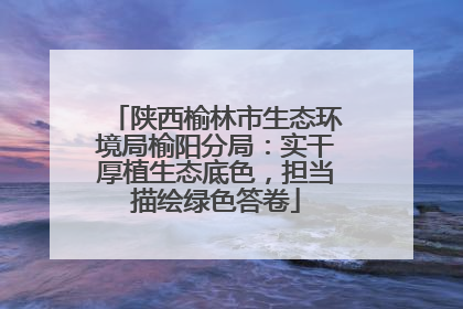 陕西榆林市生态环境局榆阳分局：实干厚植生态底色，担当描绘绿色答卷