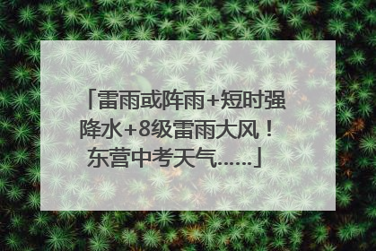 雷雨或阵雨+短时强降水+8级雷雨大风！东营中考天气……
