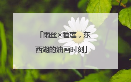 雨丝×睡莲，东西湖的油画时刻