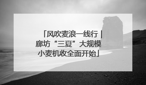 风吹麦浪一线行｜廊坊“三夏”大规模小麦机收全面开始