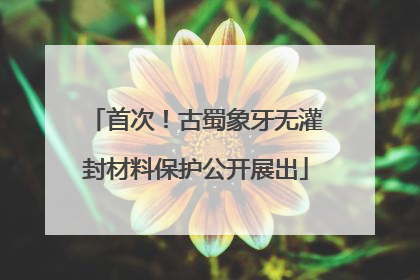 首次！古蜀象牙无灌封材料保护公开展出