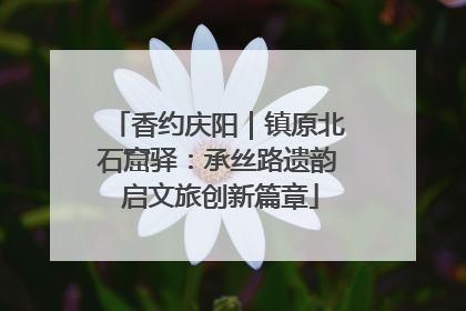 香约庆阳｜镇原北石窟驿：承丝路遗韵 启文旅创新篇章