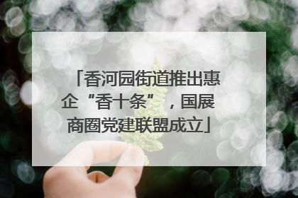 香河园街道推出惠企“香十条”，国展商圈党建联盟成立