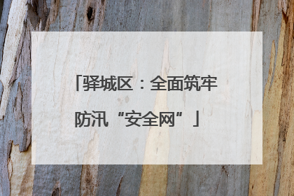 驿城区：全面筑牢防汛“安全网”