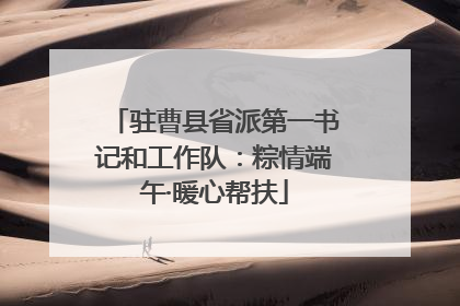 驻曹县省派第一书记和工作队：粽情端午·暖心帮扶