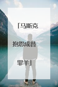 马斯克抱怨成替罪羊