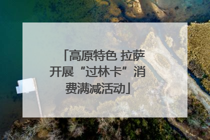高原特色 拉萨开展“过林卡”消费满减活动