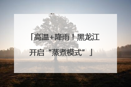 高温+降雨！黑龙江开启“蒸煮模式”