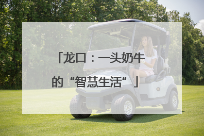 龙口：一头奶牛的“智慧生活”