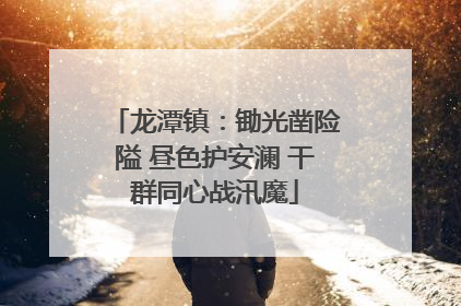 龙潭镇：锄光凿险隘 昼色护安澜 干群同心战汛魔