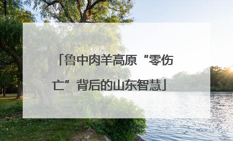 鲁中肉羊高原“零伤亡”背后的山东智慧