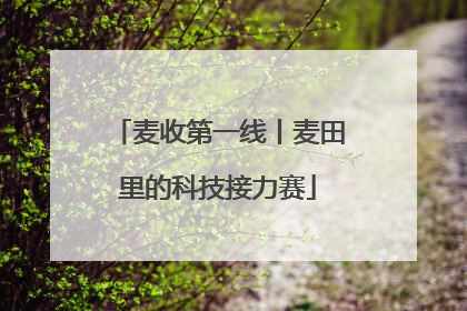 麦收第一线丨麦田里的科技接力赛
