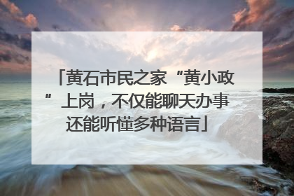 黄石市民之家“黄小政”上岗，不仅能聊天办事还能听懂多种语言