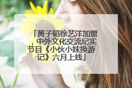 黄子韬徐艺洋加盟，中外文化交流纪实节目《小伙小妹换游记》六月上线