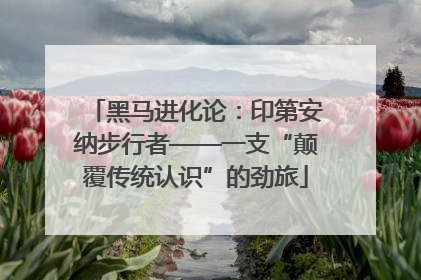 黑马进化论：印第安纳步行者——一支“颠覆传统认识”的劲旅