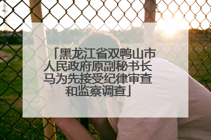 黑龙江省双鸭山市人民政府原副秘书长马为先接受纪律审查和监察调查