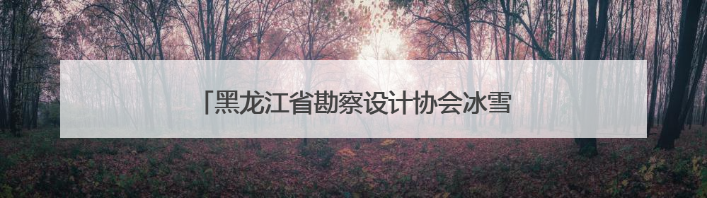 黑龙江省勘察设计协会冰雪创意设计专业委员会揭牌