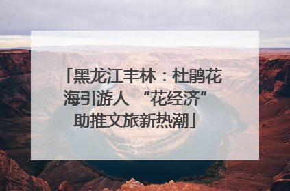 黑龙江丰林：杜鹃花海引游人 “花经济”助推文旅新热潮