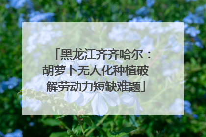 黑龙江齐齐哈尔：胡萝卜无人化种植破解劳动力短缺难题
