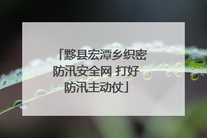 黟县宏潭乡织密防汛安全网 打好防汛主动仗