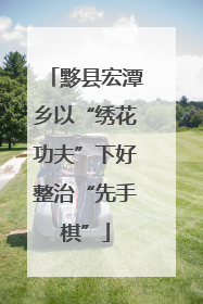 黟县宏潭乡以“绣花功夫”下好整治“先手棋”
