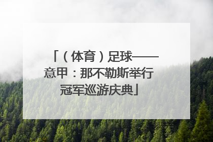 （体育）足球——意甲：那不勒斯举行冠军巡游庆典