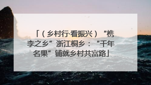 （乡村行·看振兴）“槜李之乡”浙江桐乡：“千年名果”铺就乡村共富路