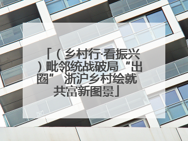 （乡村行·看振兴）毗邻统战破局“出圈” 浙沪乡村绘就共富新图景