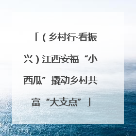 （乡村行·看振兴）江西安福“小西瓜”撬动乡村共富“大支点”