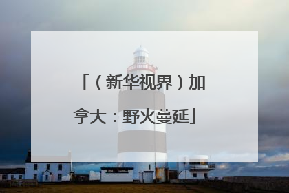 （新华视界）加拿大：野火蔓延