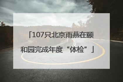 107只北京雨燕在颐和园完成年度“体检”