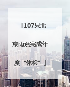 107只北京雨燕完成年度“体检”