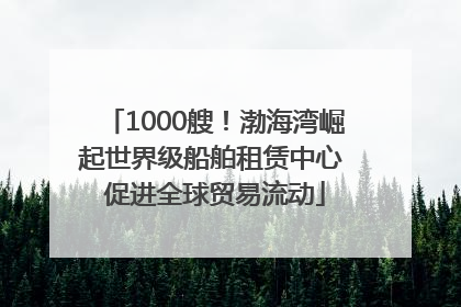 1000艘！渤海湾崛起世界级船舶租赁中心 促进全球贸易流动