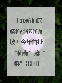 10箱仙居杨梅空运新加坡！今年首批“仙梅”抢“鲜”出国
