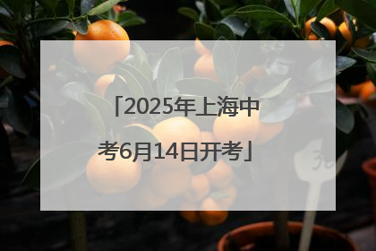 2025年上海中考6月14日开考