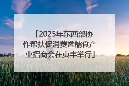 2025年东西部协作帮扶促消费暨糯食产业招商会在贞丰举行