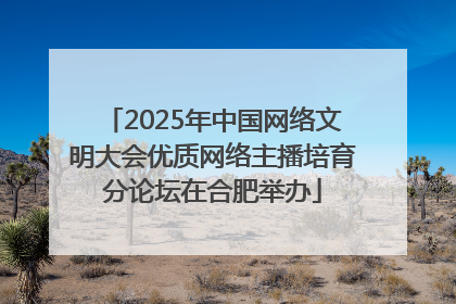 2025年中国网络文明大会优质网络主播培育分论坛在合肥举办