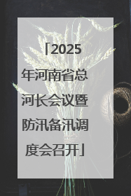 2025年河南省总河长会议暨防汛备汛调度会召开