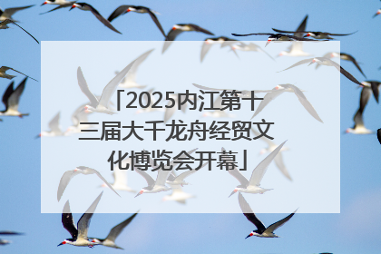 2025内江第十三届大千龙舟经贸文化博览会开幕