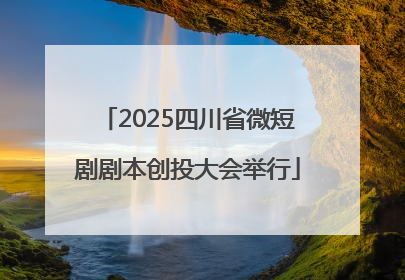 2025四川省微短剧剧本创投大会举行