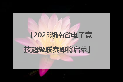 2025湖南省电子竞技超级联赛即将启幕