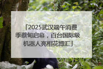 2025武汉端午消费季蔡甸启幕，百台国际级机器人亮相花博汇