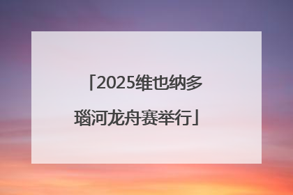 2025维也纳多瑙河龙舟赛举行