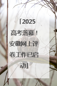 2025高考落幕！安徽网上评卷工作已启动