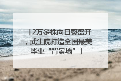 2万多株向日葵盛开，武生院打造全国最美毕业“背景墙”