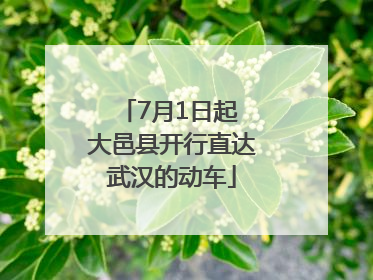7月1日起 大邑县开行直达武汉的动车